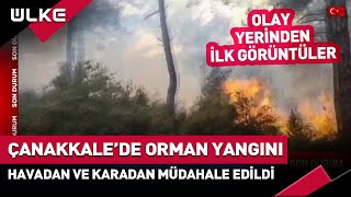 #SONDAKİKA Çanakkale'de Orman Yangını! Karadan ve Havadan Müdahale Ediliyor