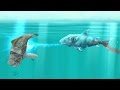 Hungry Shark Evolution Ice Shark Android Gameplay #15