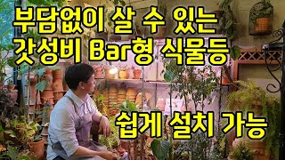 선반 밑에 설치하는 LED 막대형 갓성비 식물등(ENG SUB)