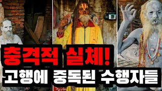 고행에 빠져 고행을 즐기는 反불교인들, 충격실체!