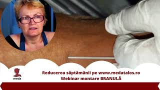 Webinar montare branula - Reducerea saptamanii