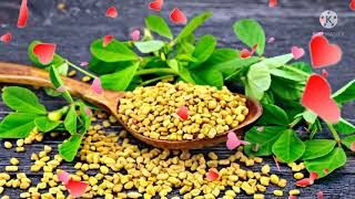 Health Benefits of Fenugreek !!!! Methi,Mente,Meti