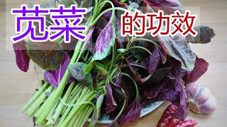 苋菜的功效和作用，苋菜食疗方法,苋菜食用禁忌