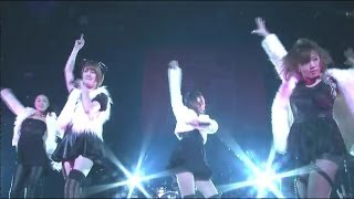 THE ポッシボー 「Do Me! Do!」(2013/11/24 赤坂BLITZ)