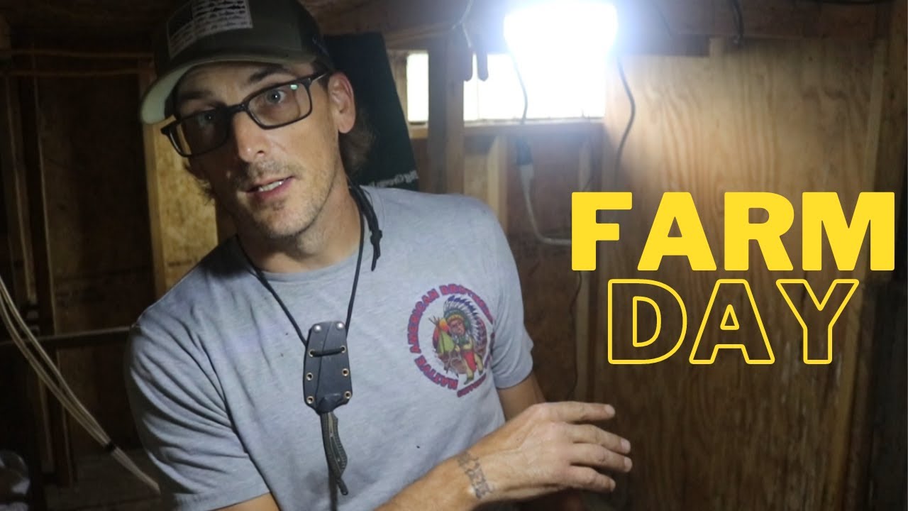 Farm Day Youtube