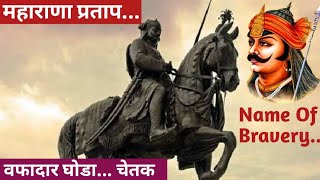 महाराणा प्रताप आणि निष्ठावान घोडा चेतक 🔥| Maharana Pratap history | Glimpse of Indian History