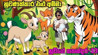 නුවණක්කාර එළු අම්මා - නුවීගේ කතන්දර 13