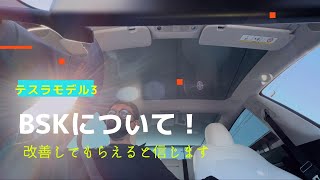 テスラ　モデル3上海モデル　ブラインドスポットカメラの見ずらさについて