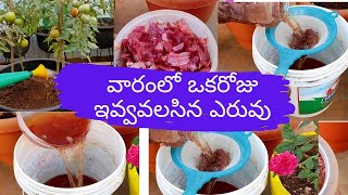 వారంలో ఒకసారి ఇవ్వవలసిన ఎరువు | Natural fertilizer for all Plants| Johny's Garden To Kitchen