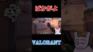 背水の陣とは言いますが背水すぎて溺れてる。#valorant  #shorts