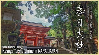 【奈良／世界遺産】春日大社／藤原氏ゆかりの神社 - Kasuga Taisha Shrine in NARA, JAPAN / World Cultural Heritage -