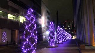 大阪・光の饗宴 2013   御堂筋イルミネ－ション