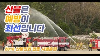 산불진화 실전 훈련으로 도민 안전 이상무, 산불진화 합동 시범훈련