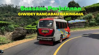 Suasana Perjalanan pemandangan Ciwidey - Rancabali - Naringgul terbaru 2022