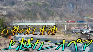 【大迫力！機関車重連】9011レ　カシオペア紀行 東日本周遊号　EF64-1030 ＋ EF81-80 ＋ E26系客車12両