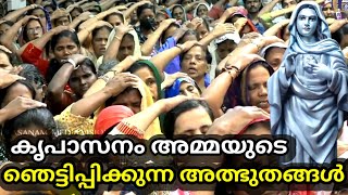 കൃപാസനം അമ്മയുടെ ഞെട്ടിപ്പിക്കുന്ന അത്ഭുതങ്ങൾ കേട്ടുകൊണ്ട് അനുഗ്രഹം പ്രാപിക്കാം