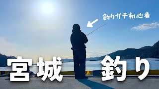 【宮城釣り】魚の活性が低い冬ですが、超初心者の妻でも釣れました