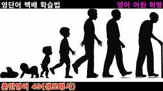 영단어 백배 학습법/영어어원 혁명/훈민영어49(생로병사)