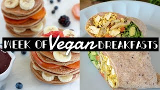 A Week of Vegan Breakfast Recipe Ideas | Easy, Cheap, + Delicious!