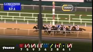 15.01.2015 Meydan (Dubai/UAE) 3.Race Fujairah Container Terminal  - Handicap  1.900 m