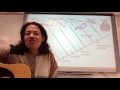 Cladogram Evolution song - Bad Romance by Lady Gaga