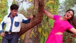 Raja Telugu Movie Songs - Mallela Vaana - Soundarya, Abbas