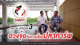 SPECIAL EP.3 : ฮวงจุ้ยกับการเลี้ยงปลาคาร์พ : SURAT FISH FARM CHANNEL