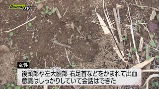 農作業中の７０代女性イノシシに襲われケガ　　【静岡・南伊豆町】