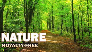 15 Beautiful Nature Stock Footage Royalty-Free, No Copyright, Free Download #royaltyfree #nature