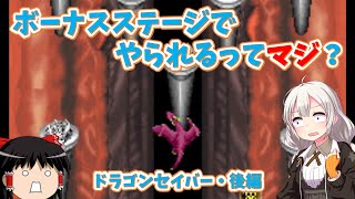 【レトロゲーム】人間の罪から生み出されたラスボスの正体とは？ドラゴンセイバー・後編【ゆっくり実況】