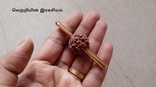 சகல பிரச்சனைகளையும் சரிசெய்யும் மந்திர ருத்திராட்ச ஜாதகம்|vetriyinragasiyam