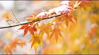 Giovanni Marradi - Unfolding Rhapsody (Goodbye autumn, welcome winter)