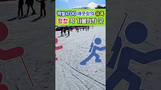 겨울 스포츠의 메카 평창 가볼만한 곳