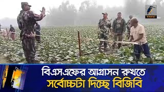 হাসিনার পতনের পর পাল্টে গেলো ভারত, বেড়ার নামে সীমান্তে আগ্রাসন | Maasranga News