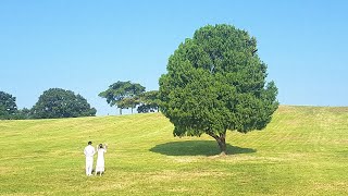 [ᴘʟᴀʏʟɪsᴛ] 지금 이 순간, 따사로운 햇살과 오후의 여유를 담은 플리 ☀️