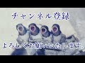 【在宅介護の日常】洗濯物をたたむ。日々、山の様な洗濯物をたたむことも在宅介護の一コマです。