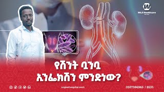 የሽንት ቧንቧ ኢንፌክሽን ምንድነው? \\\\ What is a urinary tract infection?