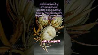 ഭൂമിയെ സ്നേഹിച്ച ദേവാംഗന,  #malayalam #youtubeshorts #shortsfeed #shorts #lyrics #lyricvideo #status