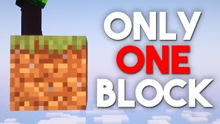 Surviving 100 Days On ONE BLOCK Hardcore Minecraft