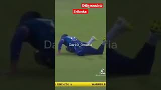 වනිදු හසරංගෙ විකට් එක