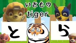 パウパトロール　ひらがな　いきもの　知育動画　にほんご　ひらがな、えいご勉強しよう！Paw patrol Let’s study Hiragana and English for Animal