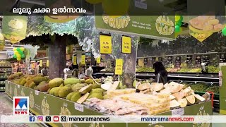 ഇവിടെ ചക്കയാണ് താരം; വിവിധ രാജ്യങ്ങളില്‍ നിന്നുള്ള ചക്കകളുമായി ലുലു ജാക്ക്ഫ്രൂട്ട് ഫെസ്റ്റിവല്‍|Lulu