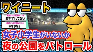 【安心】ワイニート、夜の公園にJSがいないかパトロール中【2ch面白いスレ】