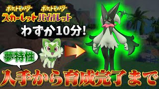 【マスカーニャ 育成論 ポケモンsv】ニャオハ最終進化の最強マスカーニャ育成方法と育成論の紹介！(ポケモンスカーレットバイオレット)