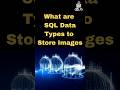 What are SQL Data Types to Store Images| SQL Data Types to Store Images| SQL Image Data Types #sql