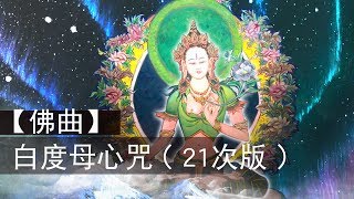 白度母心咒MV（21次版）White Tara Mantra (21 times)｜佛曲｜雨揚老師