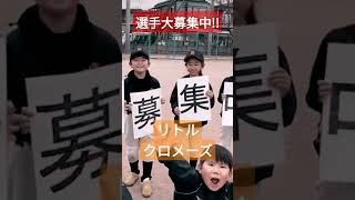 クロメーズ選手大募集中一緒に野球しよう!!