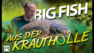 Karpfenangeln - XXL Beauty Carps im Kraut - Die Montage und Strategie - IG Specimen Carp Lake