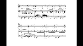 Liber Scriptus (Messa da Requiem - G. Verdi) Score Animation