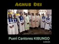 agnus dei by pueri cantores kibungo rwanda